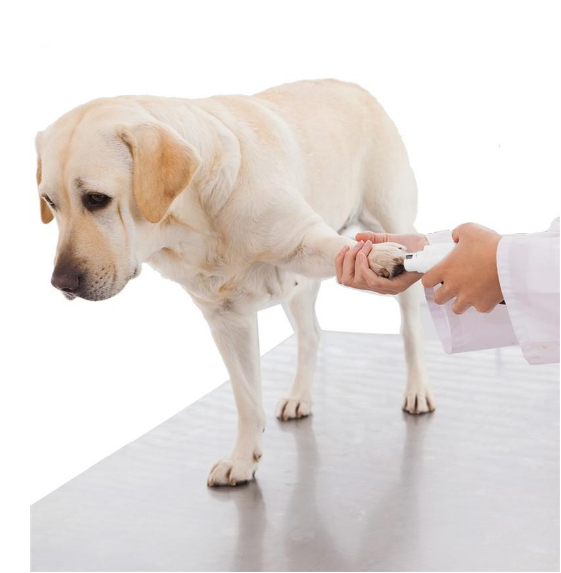 Electric Pet Nail Grinder with Rechargeable
